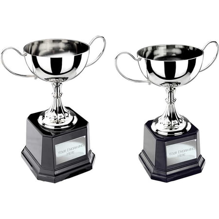 Tavistock Collection Nickel Plated Cup