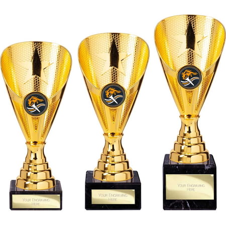 Rising Stars Premium Plastic Trophy