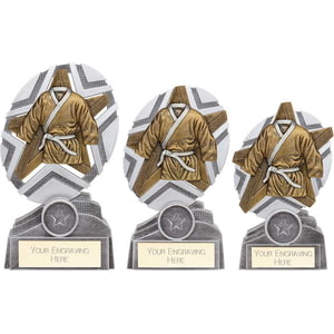 The Stars Martial Arts Plaque Award Silver & Gold