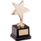 The Challenger Star Award