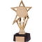 High Star Award