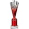 Rodeo Multisport Tube Trophy Silver & Red