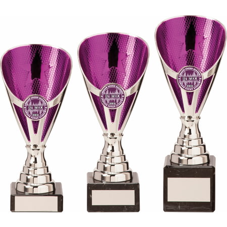 Rising Stars Premium Plastic Trophy Silver & Purple