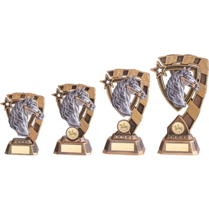 Euphoria Equestrian Award