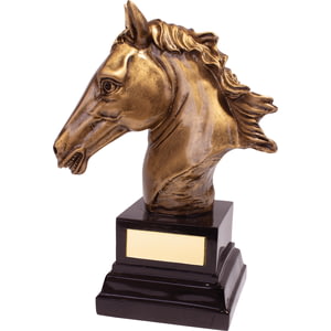 Belmont Equestrian Award 170mm